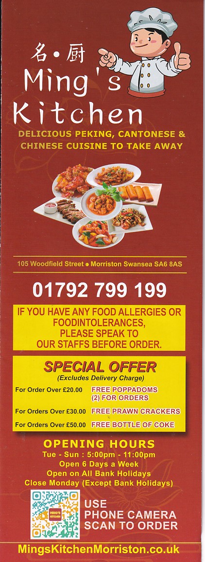 mings kitchen chinese takeaway swansea