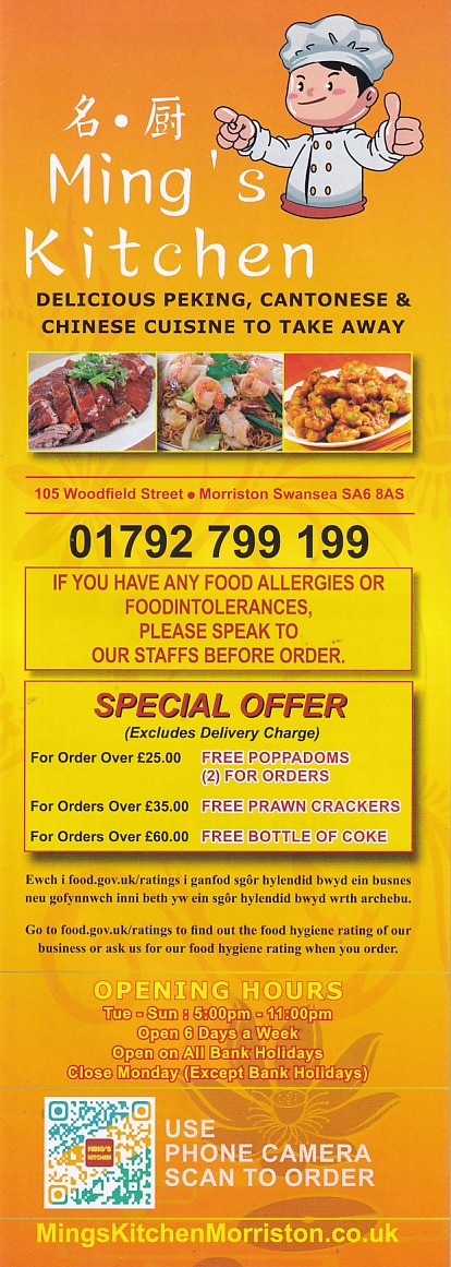 mings kitchen chinese takeaway swansea